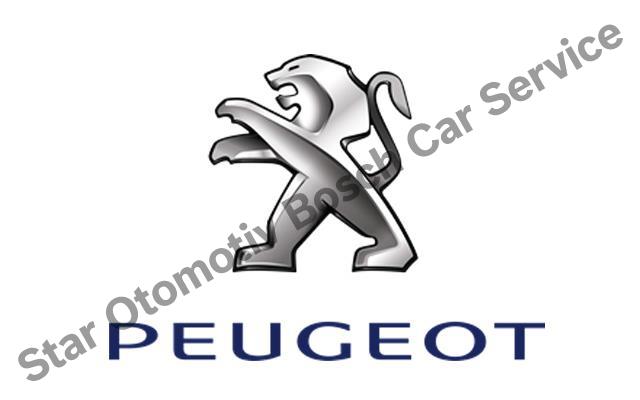 Büyükçekmece Peugeot Servisi